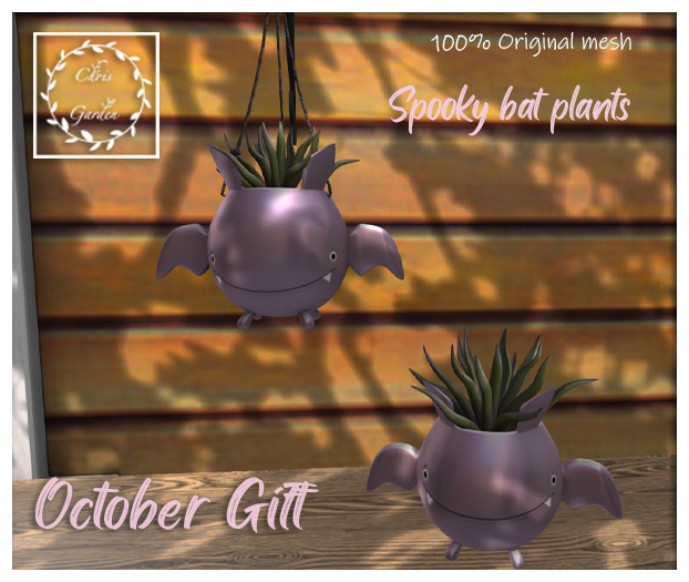 C*October Gift