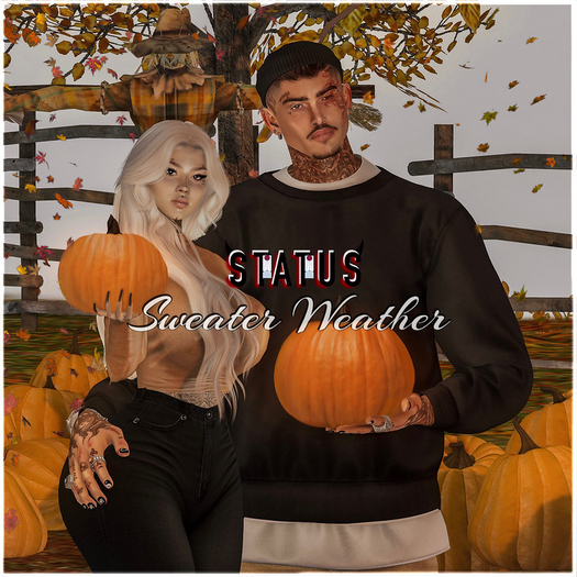 STATUS ~ Sweater Weather 