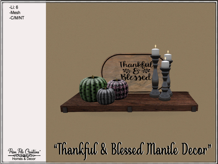 ~PPC~ Thankful & Blessed Mantle Decor  