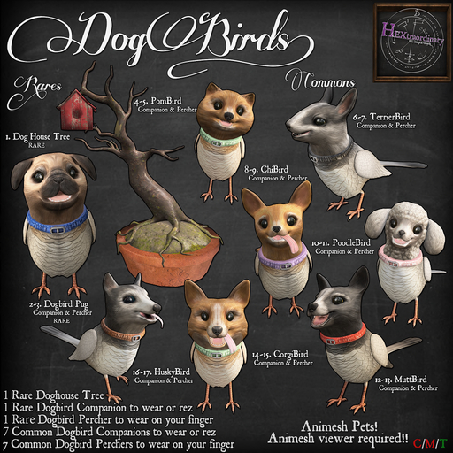 3. *HEXtraordinary* Dogbirds - PugBird Percher - RARE