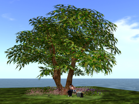 Second Life Marketplace - TMG - SHADED TREE - SUMMER* With moving ...