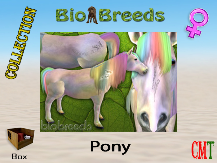 BioBreeds BB Spring 2013 Epic Pony Box Female