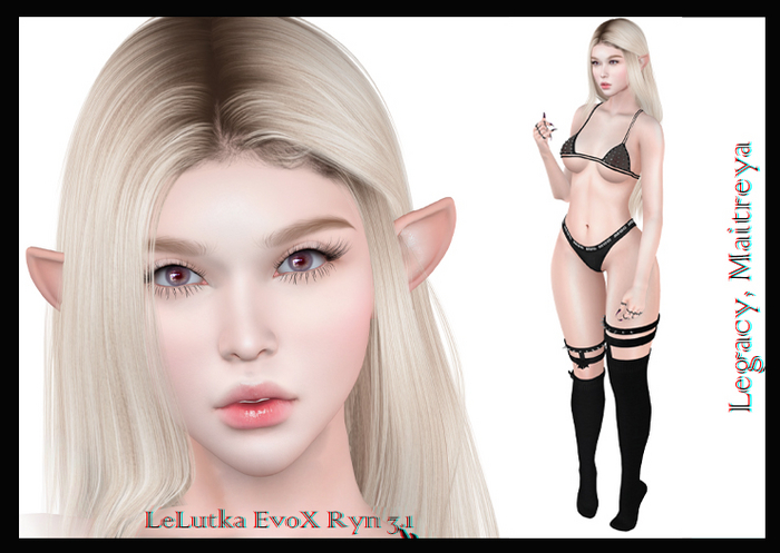 Takeda Shape Aurora LeLutka EvoX Ryn 3.1