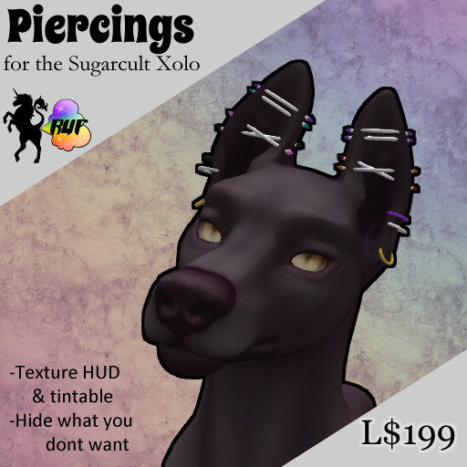 Xolo Avatar Piercings