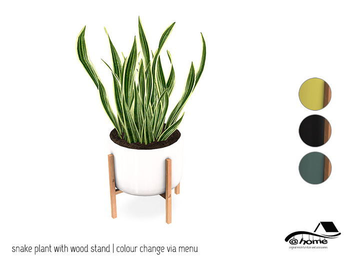 @home: snake plant on wood stand 