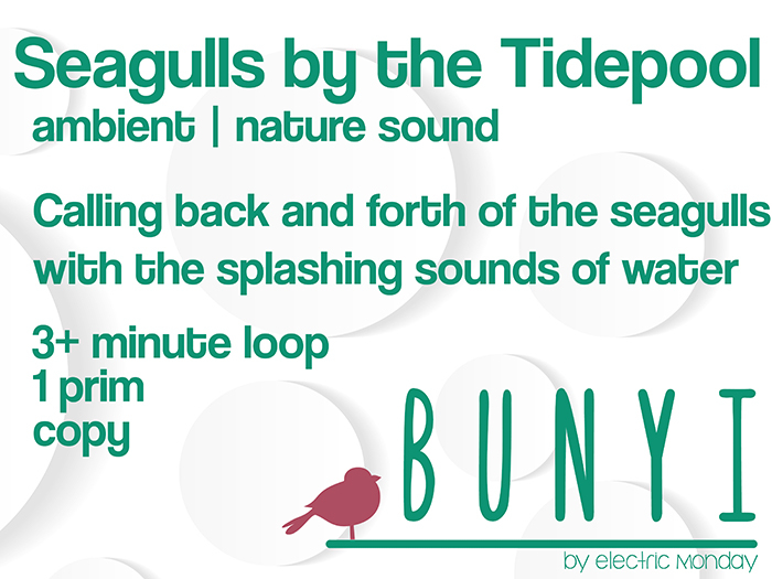 Bunyi Nature Sounds- Seagulls by the Tidepool