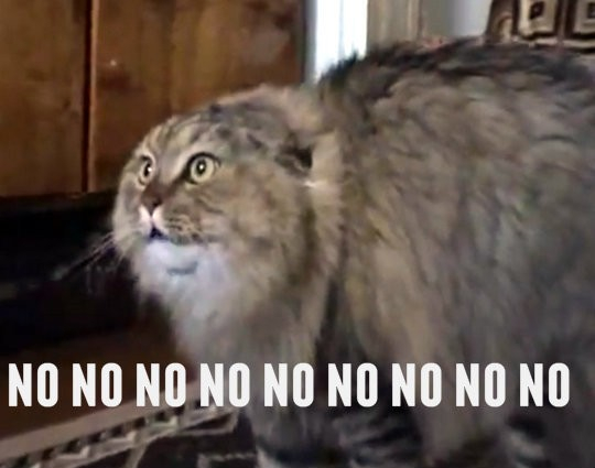 Oh No!