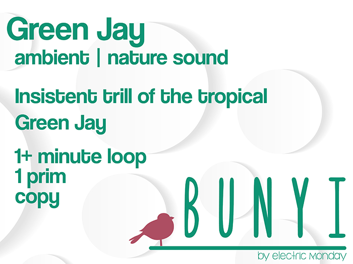 Bunyi Nature Sounds- Green Jay