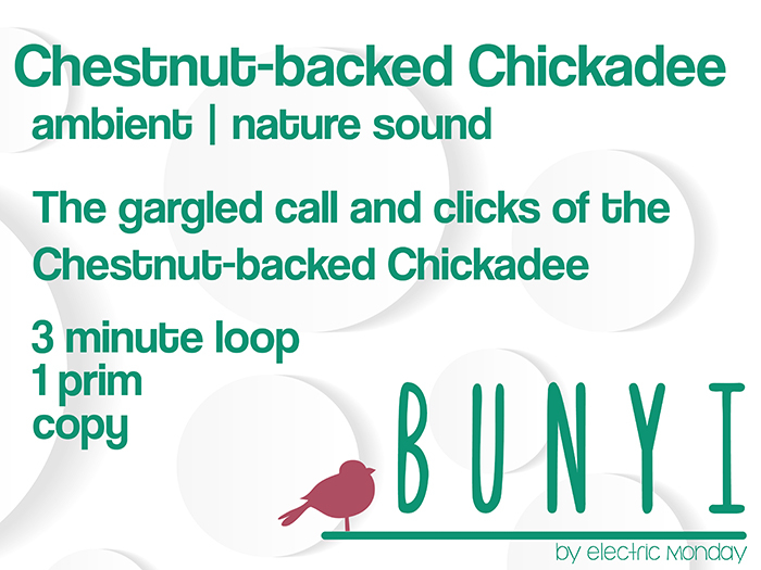 Bunyi Nature Sounds - Chestnut-backed Chickadee
