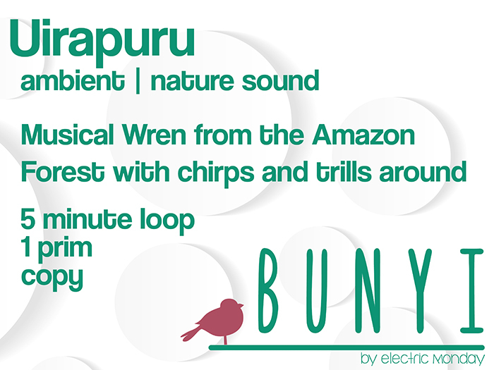 Bunyi Nature Sounds - Amazon Uirapuru (musical Wren)