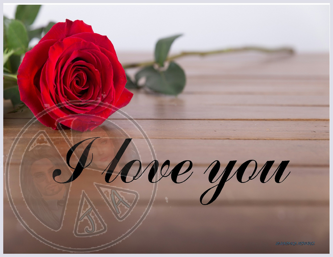 I love you C393 CARD