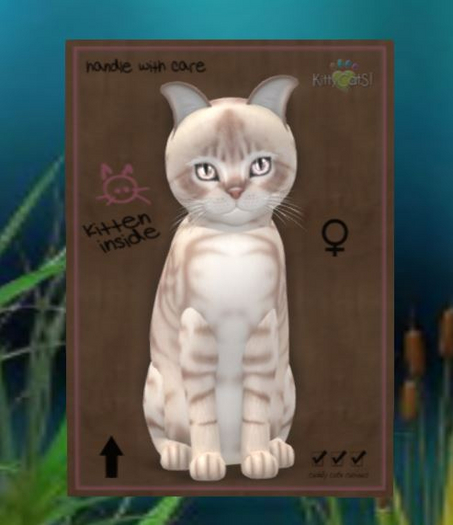 9TF Australian Mist - Lilac Marble