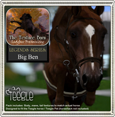 Texture Barn: Limited Edition Legends Series Big Ben (chestnut) for Teegle Horses