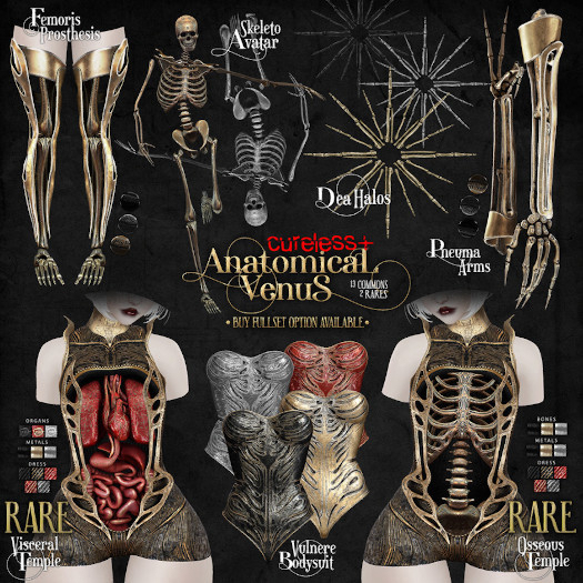 CURELESS[+] Anatomical Venus / M / Visceral Temple / RARE