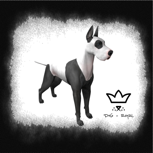 DOG-Royal -Greatest Dane Panda