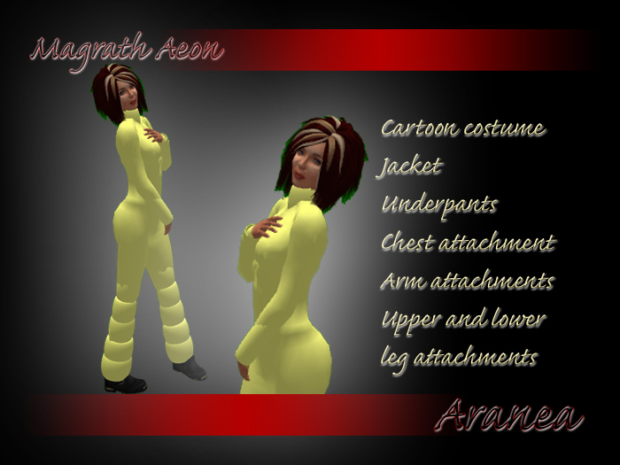 Cartoon costume