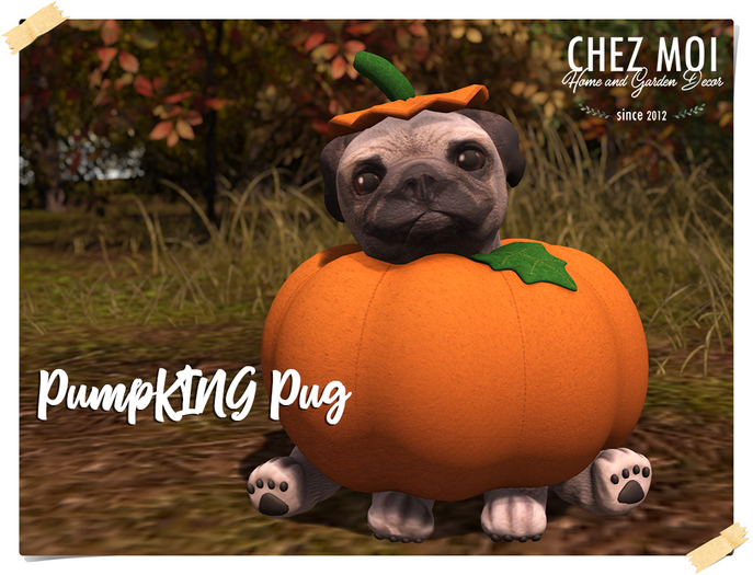 CHEZ MOI ♥ PumpKING Pug