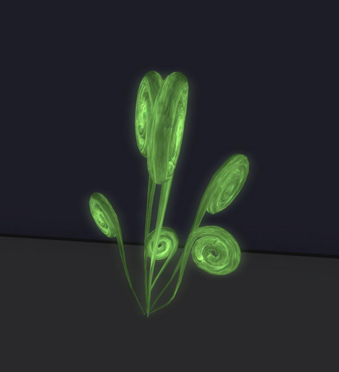 Spyral flowers 