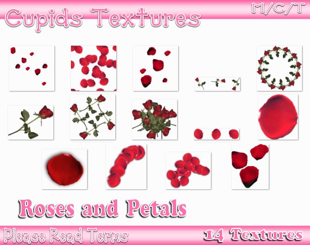 14 Roses and Petals Textures