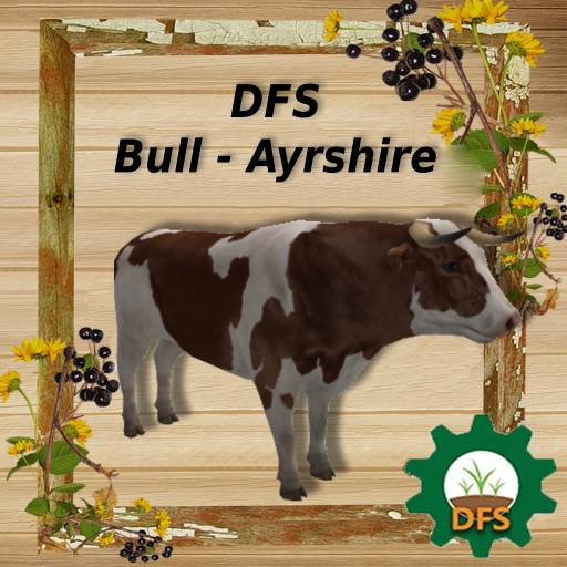 DFS Bull - Ayrshire