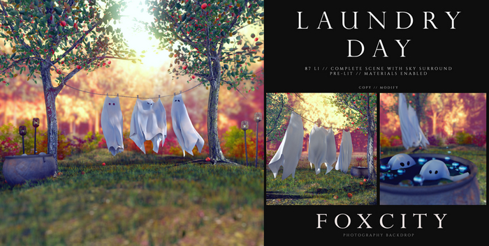 FOXCITY. Photo Booth - Laundry Day