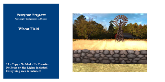 Peregrine_Project - Wheat Field