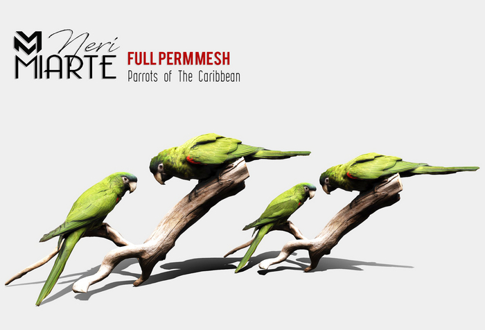 .::Neri M I A R T E ::.Full Permission Parrots of The Caribbean