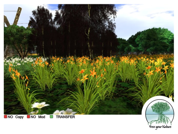 Box patch lillies orange