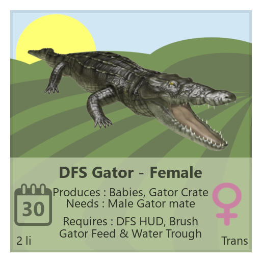 DFS Gator - Female