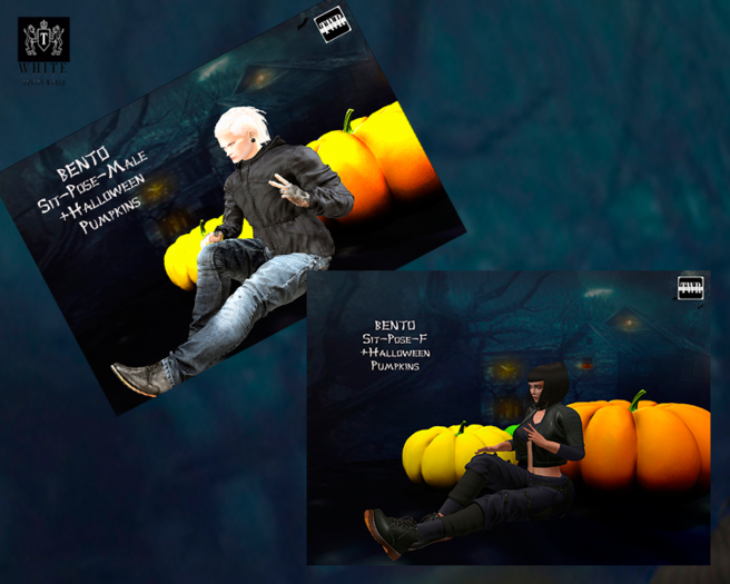 Halloween Pumpkins & pose