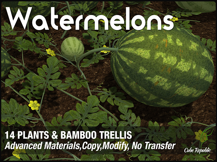 CR  Watermelon Patch Plants