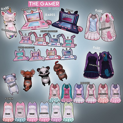 Birdy - The Gamer - Console - Foxy - 2