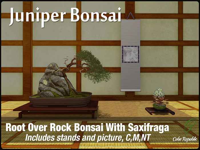 Root Over Rock Juniper Bonsai - 100% Mesh