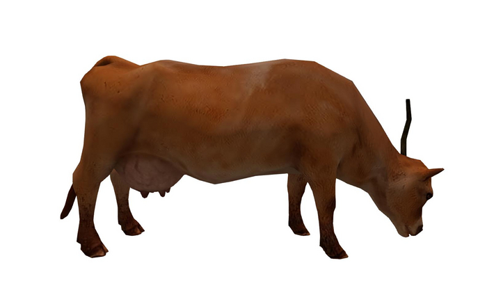 (AURA) COW CALF