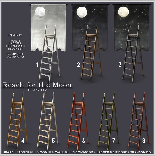 1.anc Ltd Reach for the moon white RARE