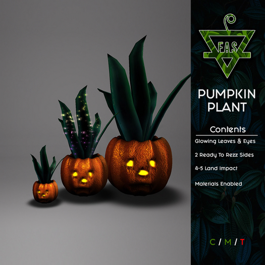 _-FAS-_ PUMPKIN PLANT [WEAR TO UNPACK]