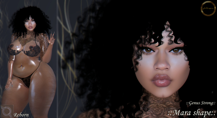 ::G.B-Mara Shape-Genus strong-eBODY_Reborn::