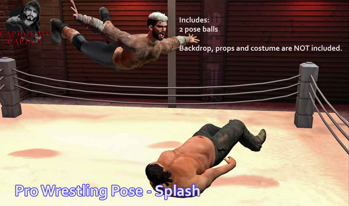 Pro Wrestling Pose - Splash