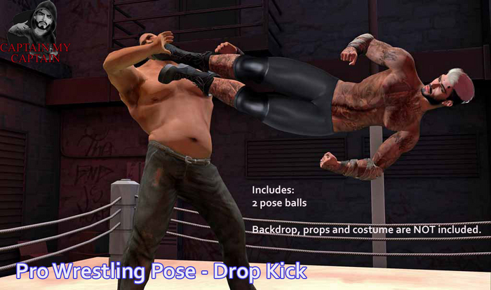 Pro Wrestling Pose - Dropkick