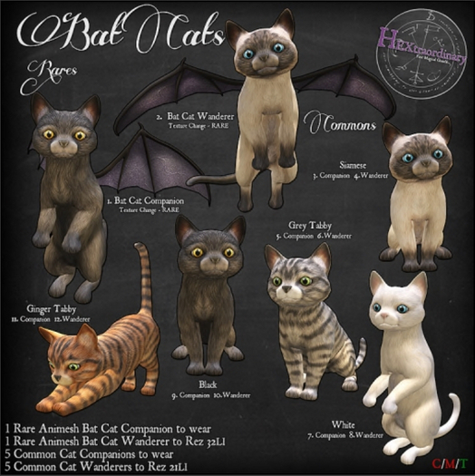 2. HEXtraordinary - Bat Cat - Wanderer - RARE