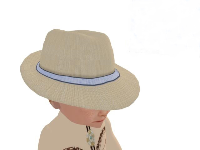 CB Tan Blue Fedora 2