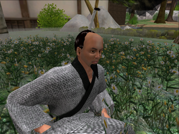 Lord Hairs japonés (actualización)