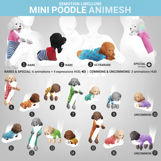 SEmotion Libellune Mini Poodle Animesh #17 UNCOMMON