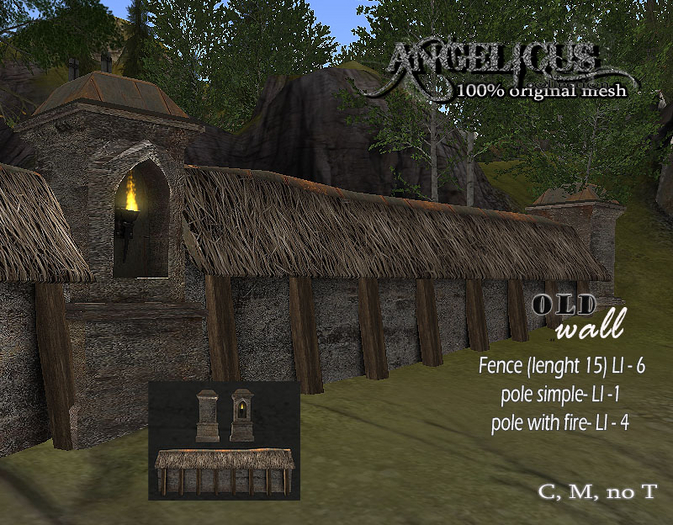 ::ANGELICUS::  Old wall