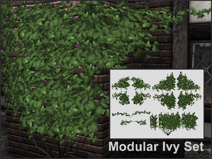 Compulsion Modular Ivy