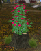 Second Life Marketplace - Tams - Tree Stump Roses