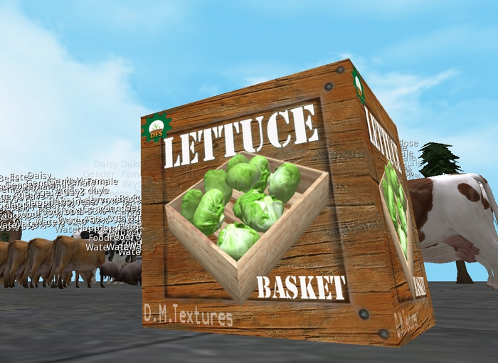 D.M. textures dfs Lettuce Basket