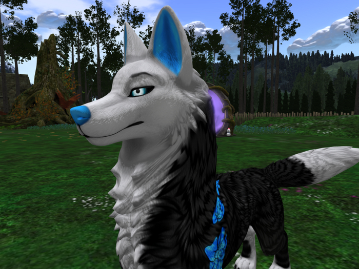 NM's Junk & Stuff Lobo - Blue Rose Mod (BOX)