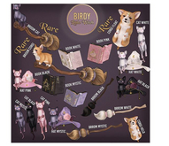 Birdy - Little Witch - Cat - pink