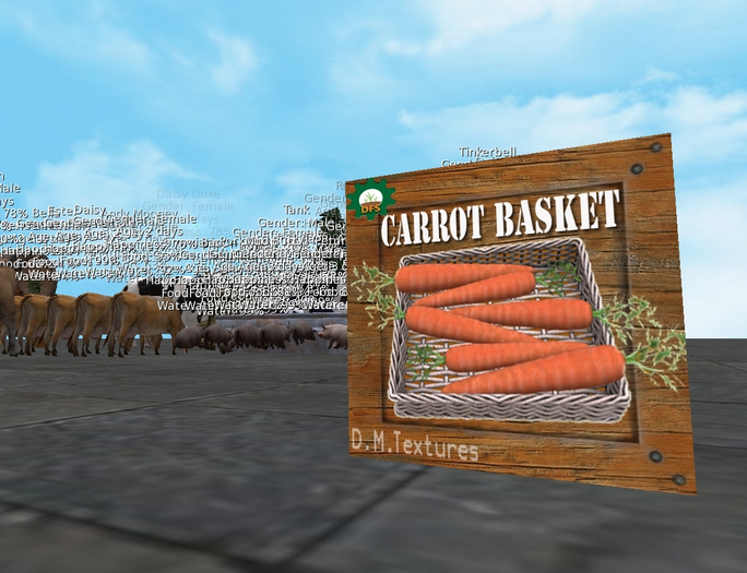 D.M. textures dfs carrot basket